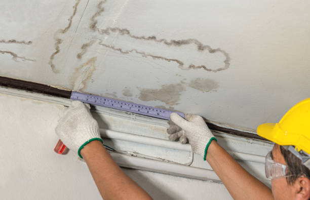 Reliable Basement Water Removal contractor in Buffalo Creek, CO by Water Damage Irwin